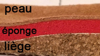 detaille eponge
